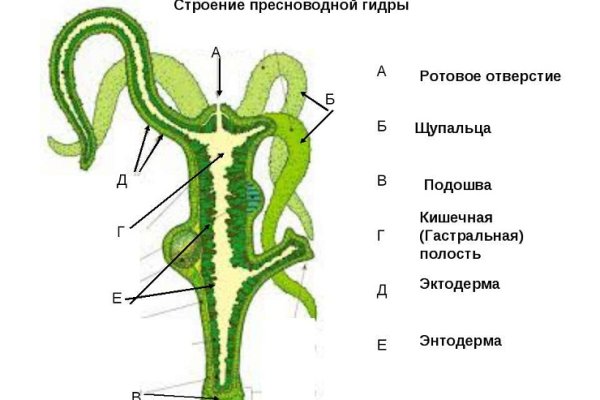 Kra33.cc Вход на сайт главная страница